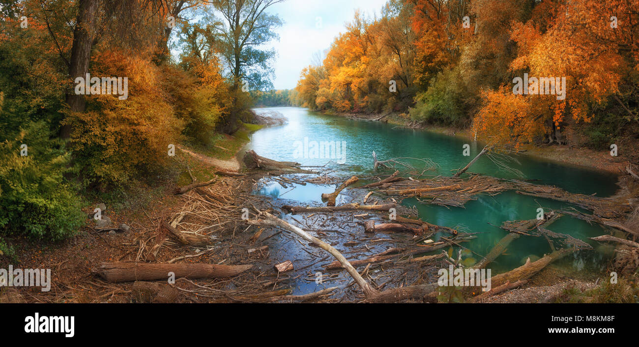 Donauauen bei Wien Stockfoto