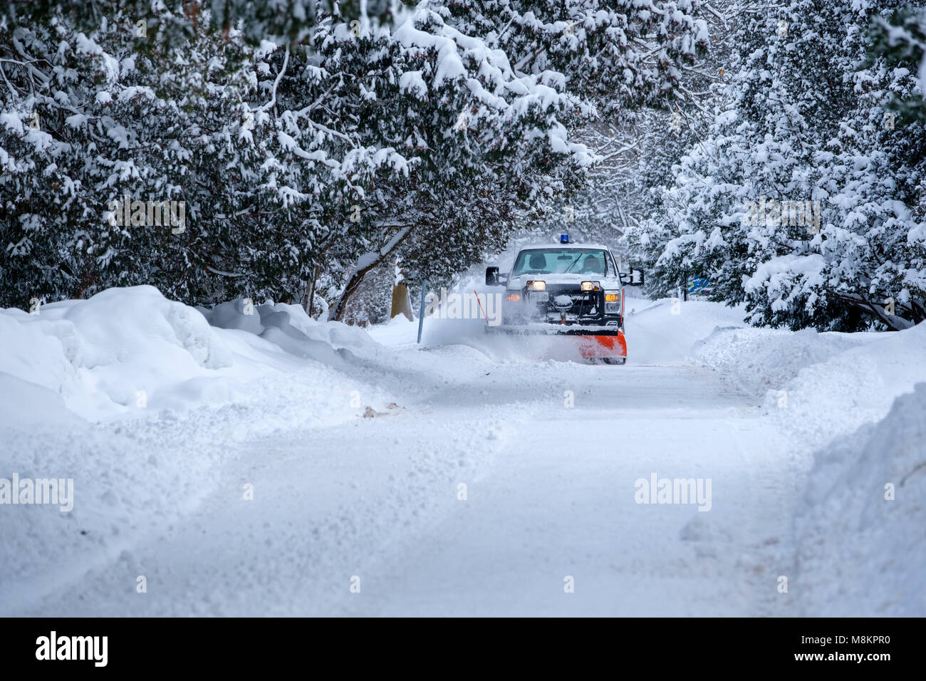 Schneepflug Pick-up Truck in Bewegung Clearing eine kommunale Straße, Straße, nach starker Schneefall bei Springbank Park, London, Ontario, Kanada. Stockfoto