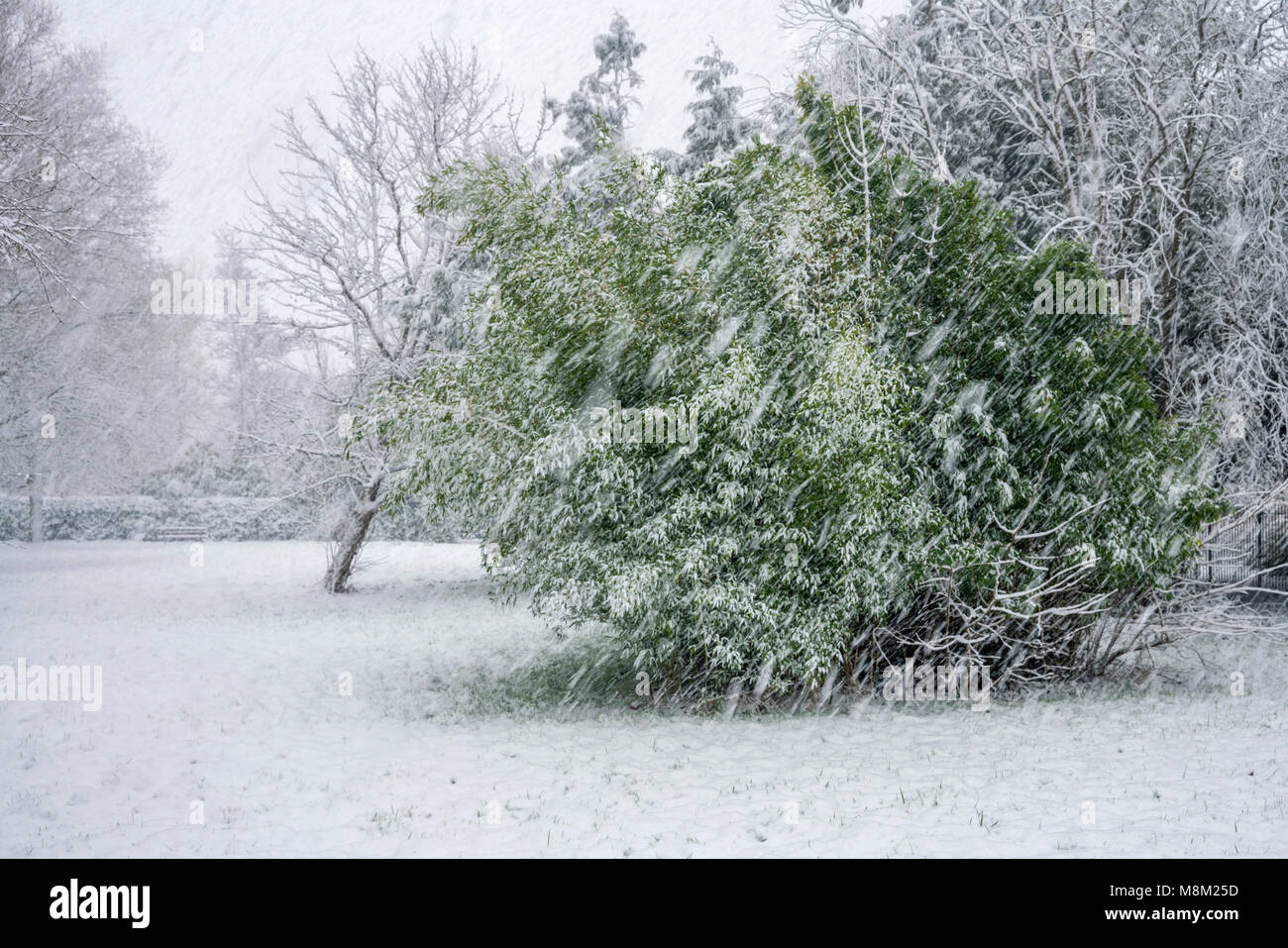Exeter, Devon, Großbritannien. 18. März 2018. UK Wetter. Riverside Valley Park im Schnee. Credit: Sebastian Wasek/Alamy leben Nachrichten Stockfoto