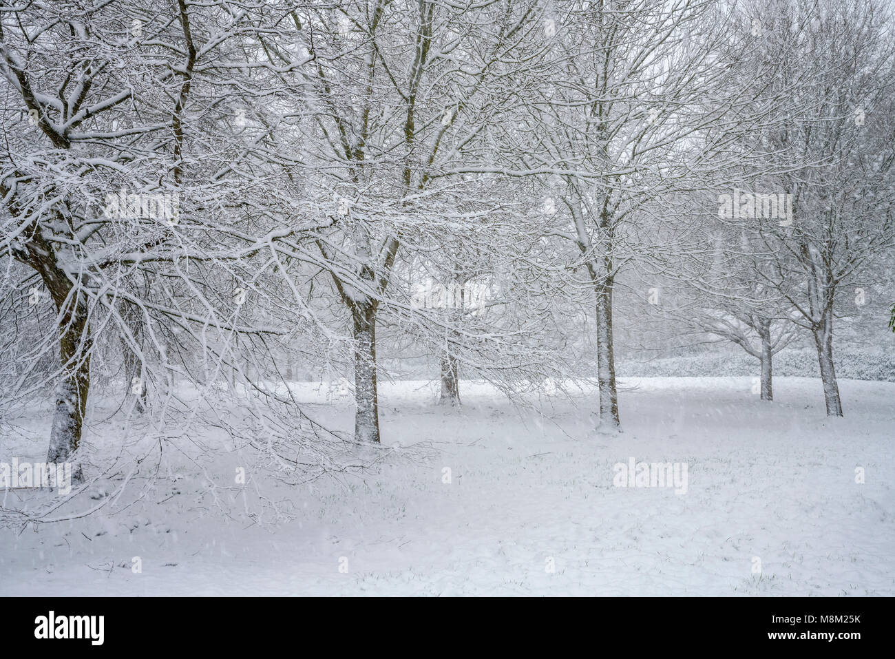 Exeter, Devon, Großbritannien. 18. März 2018. UK Wetter. Riverside Valley Park im Schnee. Credit: Sebastian Wasek/Alamy leben Nachrichten Stockfoto
