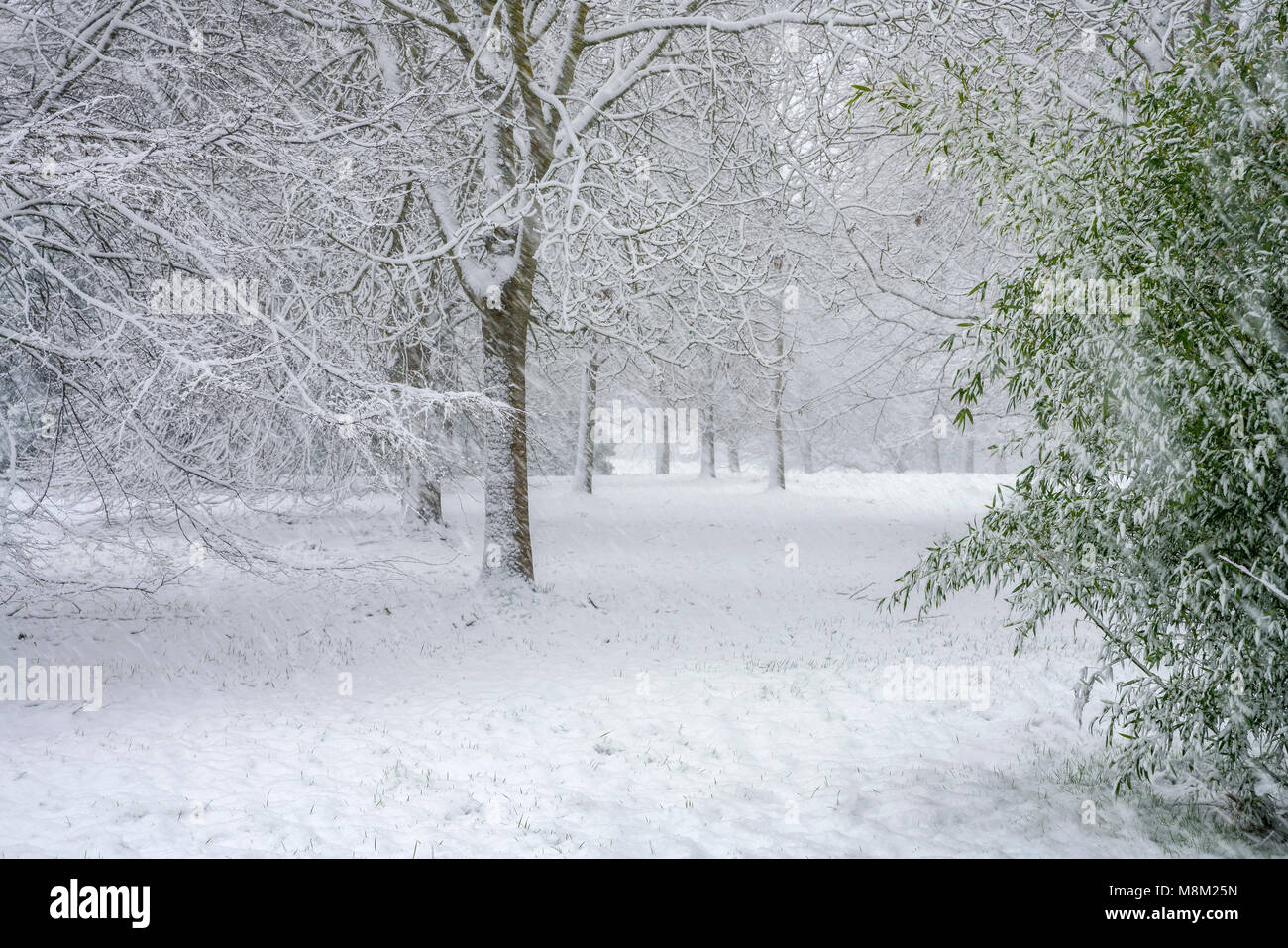 Exeter, Devon, Großbritannien. 18. März 2018. UK Wetter. Riverside Valley Park im Schnee. Credit: Sebastian Wasek/Alamy leben Nachrichten Stockfoto