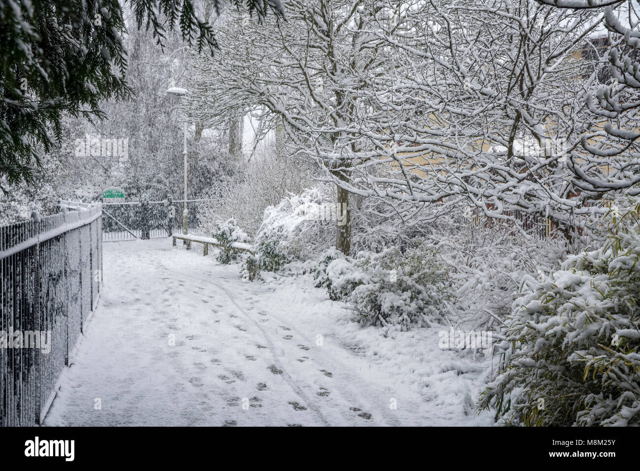 Exeter, Devon, Großbritannien. 18. März 2018. UK Wetter. Riverside Valley Park im Schnee. Credit: Sebastian Wasek/Alamy leben Nachrichten Stockfoto
