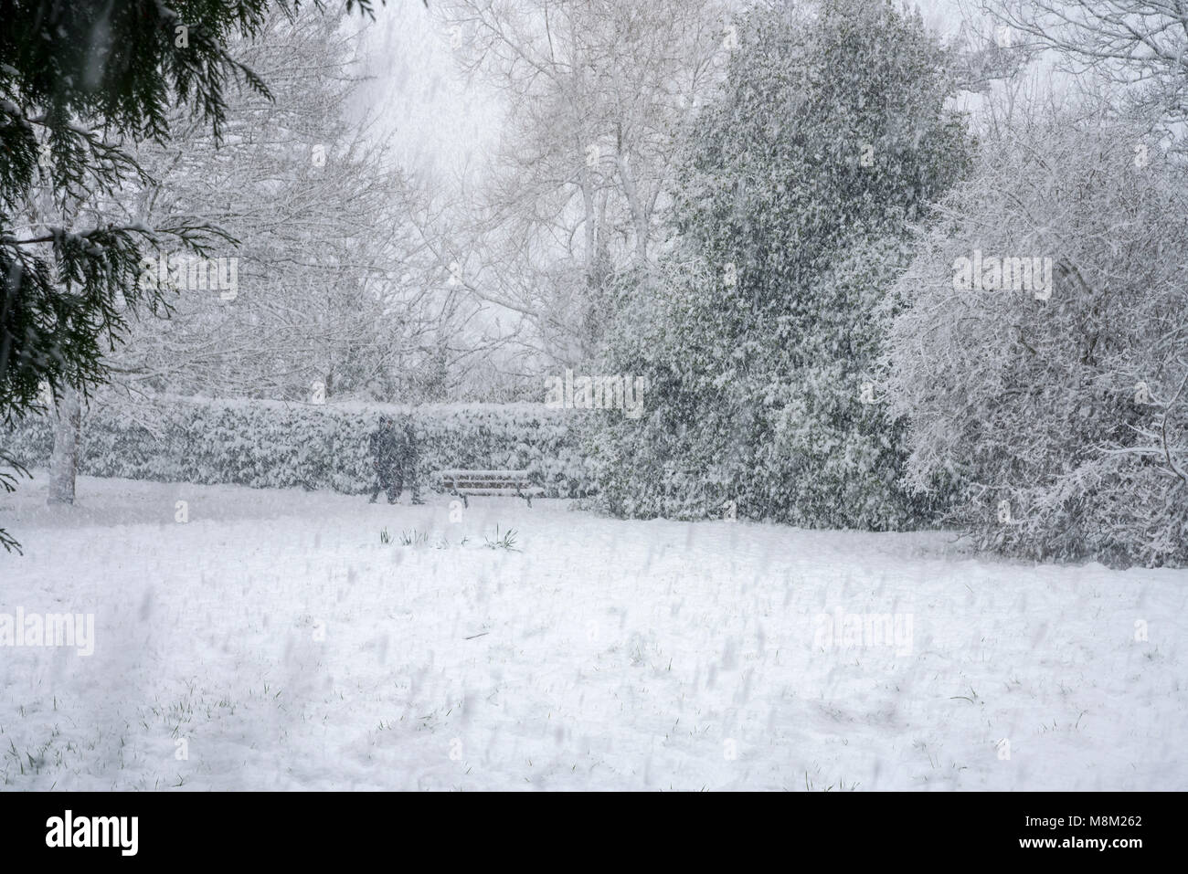 Exeter, Devon, Großbritannien. 18. März 2018. UK Wetter. Riverside Valley Park im Schnee. Credit: Sebastian Wasek/Alamy leben Nachrichten Stockfoto