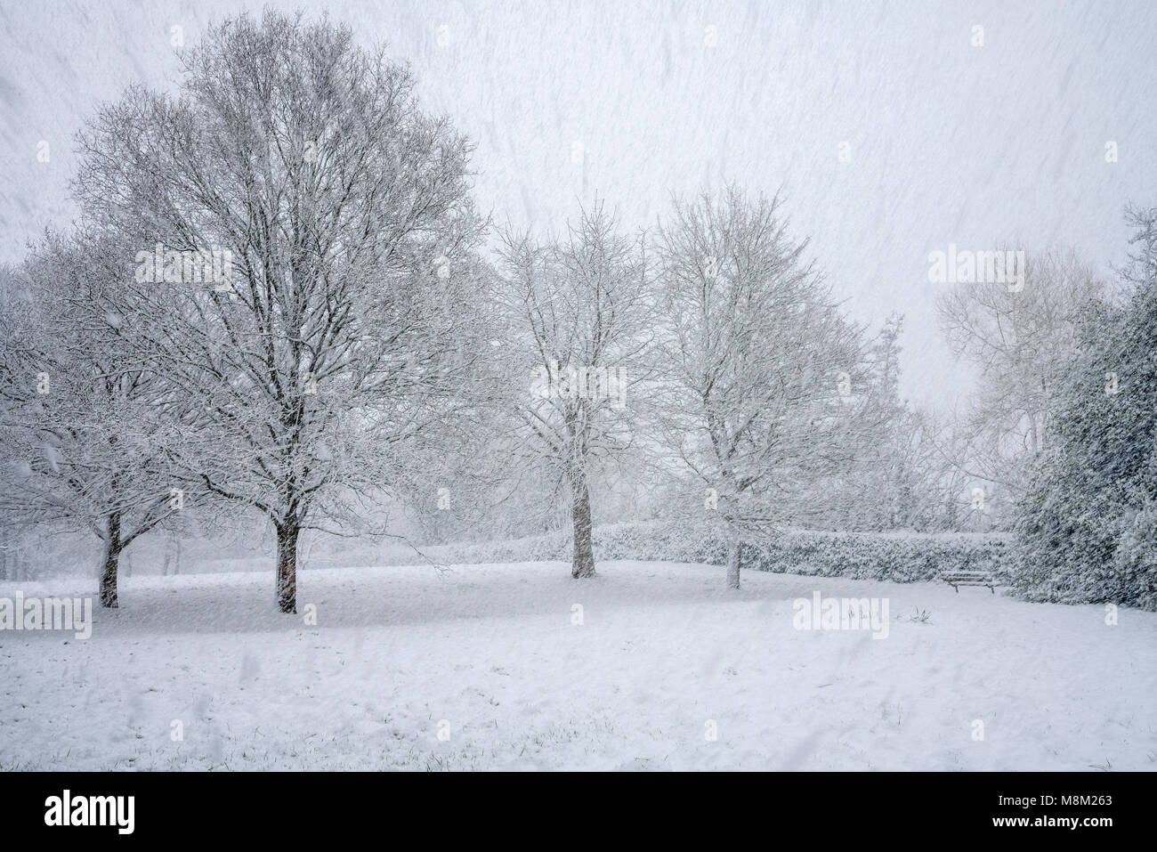 Exeter, Devon, Großbritannien. 18. März 2018. UK Wetter. Riverside Valley Park im Schnee. Credit: Sebastian Wasek/Alamy leben Nachrichten Stockfoto