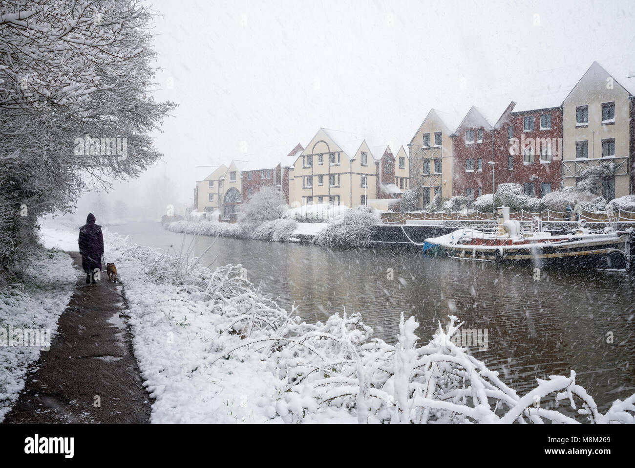 Exeter, Devon, Großbritannien. 18. März 2018. UK Wetter. Riverside Valley Park im Schnee. Credit: Sebastian Wasek/Alamy leben Nachrichten Stockfoto