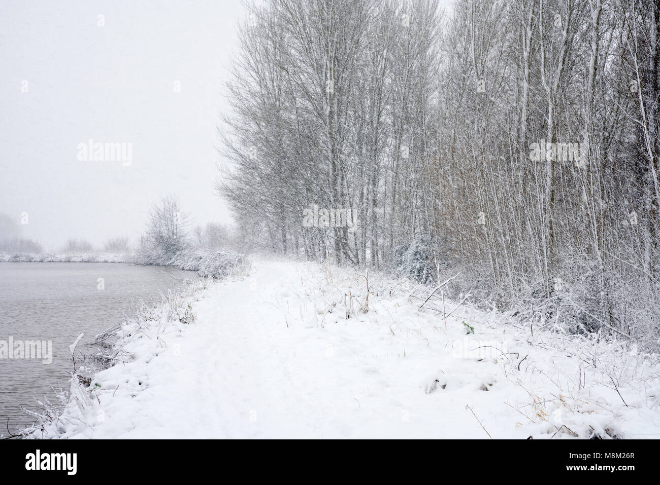 Exeter, Devon, Großbritannien. 18. März 2018. UK Wetter. Riverside Valley Park im Schnee. Credit: Sebastian Wasek/Alamy leben Nachrichten Stockfoto