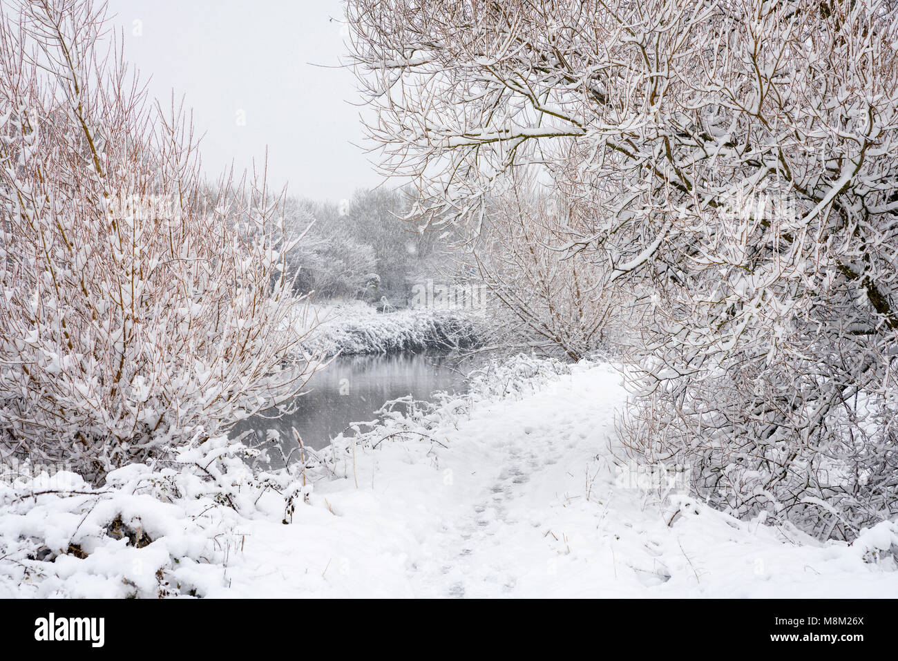Exeter, Devon, Großbritannien. 18. März 2018. UK Wetter. Riverside Valley Park im Schnee. Credit: Sebastian Wasek/Alamy leben Nachrichten Stockfoto