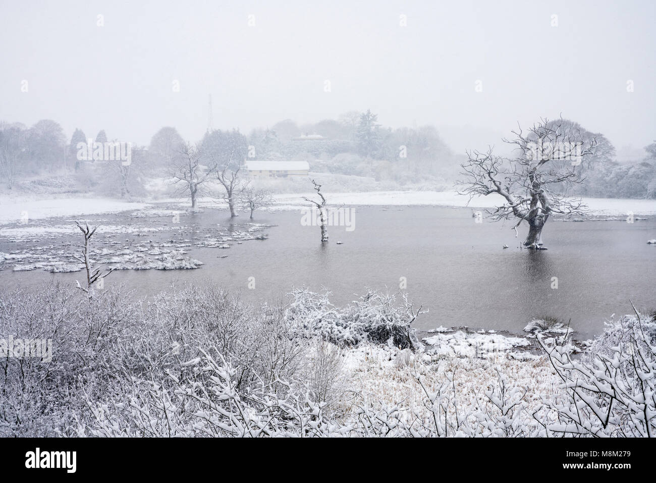 Exminster Devon, Großbritannien. 18. März 2018. UK Wetter. Matford und Hammelfleisch Sümpfe in den schweren Schnee. Credit: Sebastian Wasek/Alamy leben Nachrichten Stockfoto