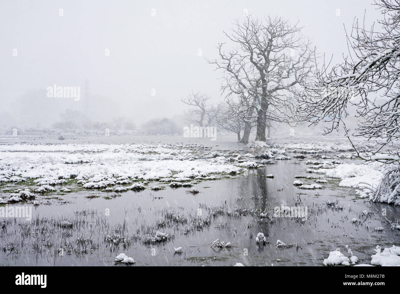 Exminster Devon, Großbritannien. 18. März 2018. UK Wetter. Matford und Hammelfleisch Sümpfe in den schweren Schnee. Credit: Sebastian Wasek/Alamy leben Nachrichten Stockfoto