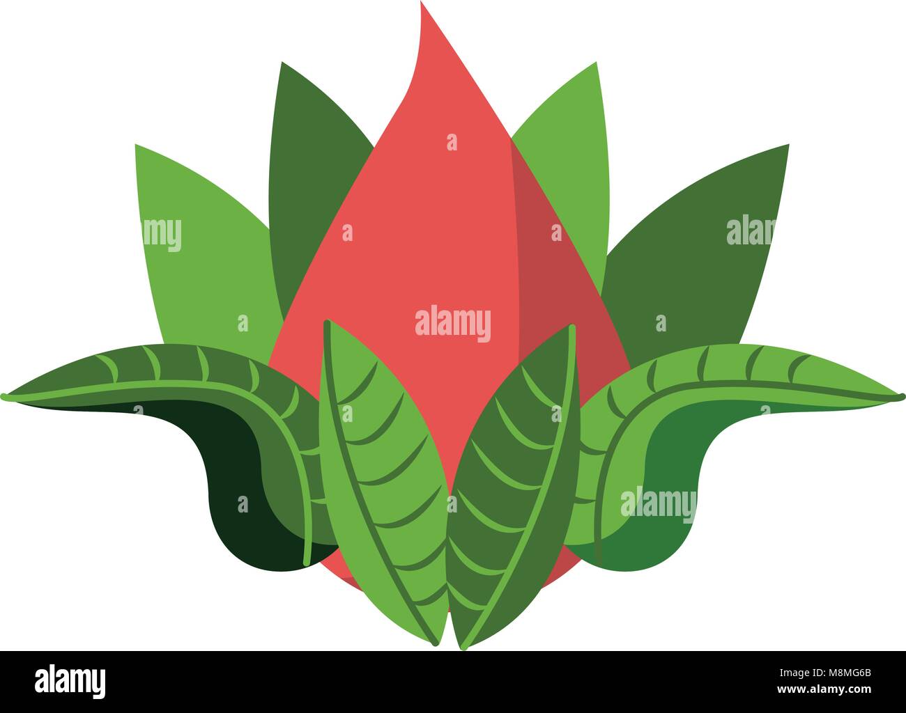 Lotus Blume Stock Vektorgrafiken Kaufen Alamy