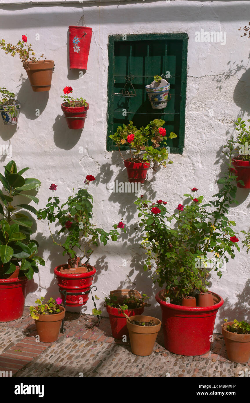 Typische Innenhof mit Blumentöpfen. Viertel El Cerro. Cabra. Provinz Córdoba. Region Andalusien. Spanien. Europa Stockfoto