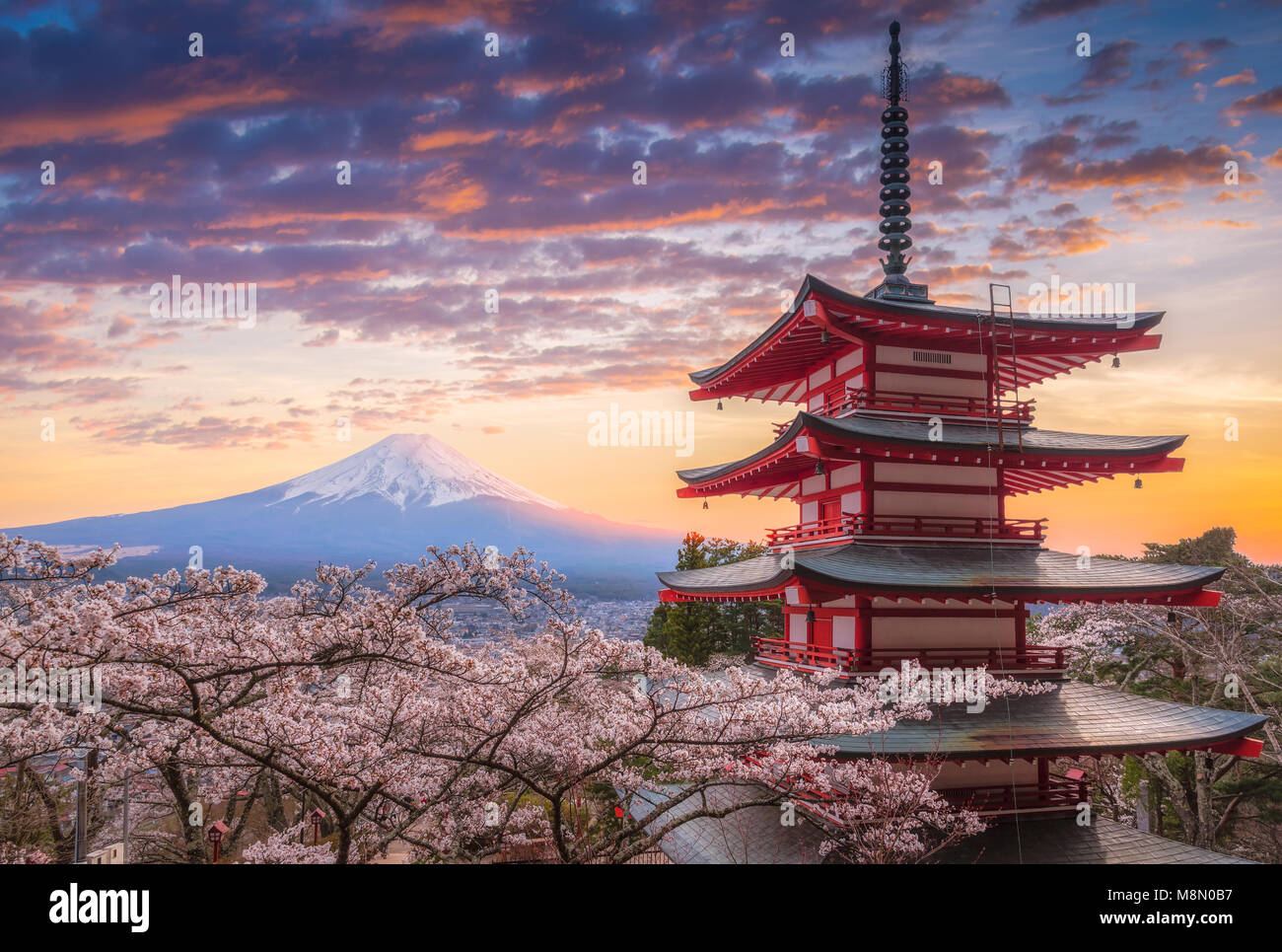 Mount Fujisan schöne Landschaften auf den Sonnenuntergang. Fujiyoshida, Japan in der Chureito Pagode und Mt. Fuji im Frühjahr mit Kirschblüten. Stockfoto