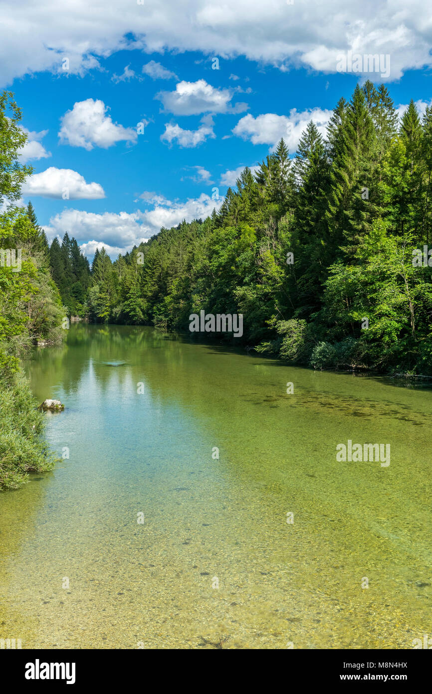 Sava Bohinjka, Bodešče, Obere Krain, Slowenien, Europa Stockfoto