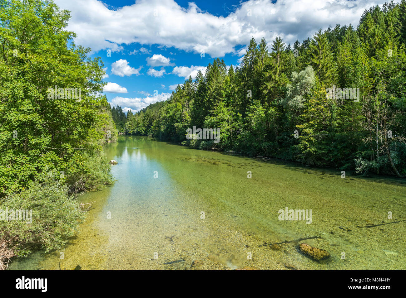 Sava Bohinjka, Bodešče, Obere Krain, Slowenien, Europa Stockfoto