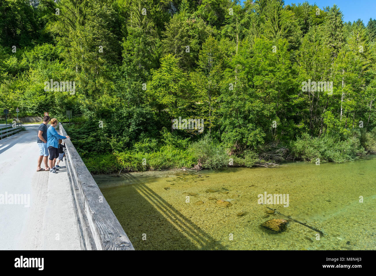 Sava Bohinjka, Bodešče, Obere Krain, Slowenien, Europa Stockfoto