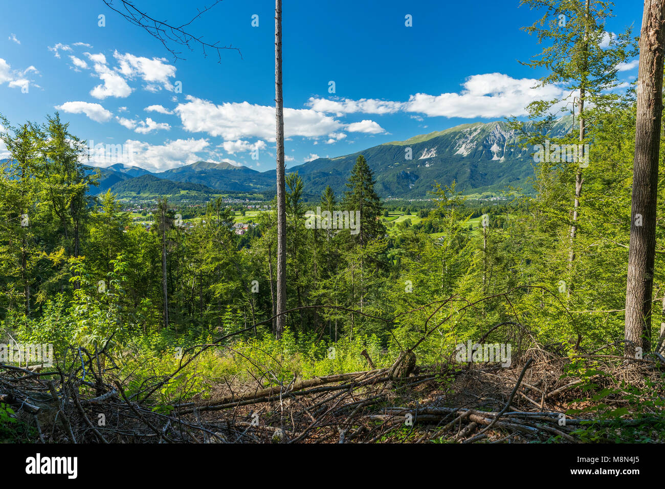 Bodešče, Obere Krain, Slowenien, Europa Stockfoto