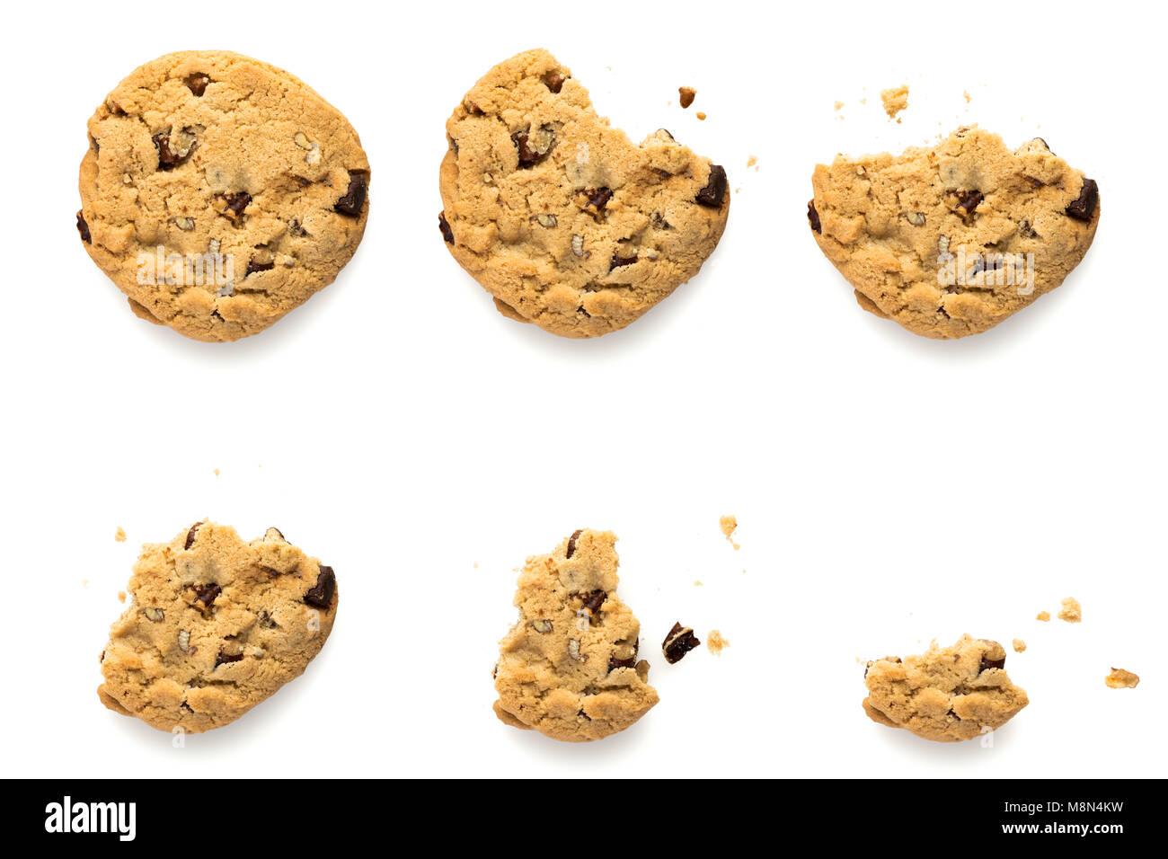 Sechs Schritte des Chocolate Chip Cookie mit pekannuss verschwinden. Sequenz auf weißem Hintergrund. Stockfoto
