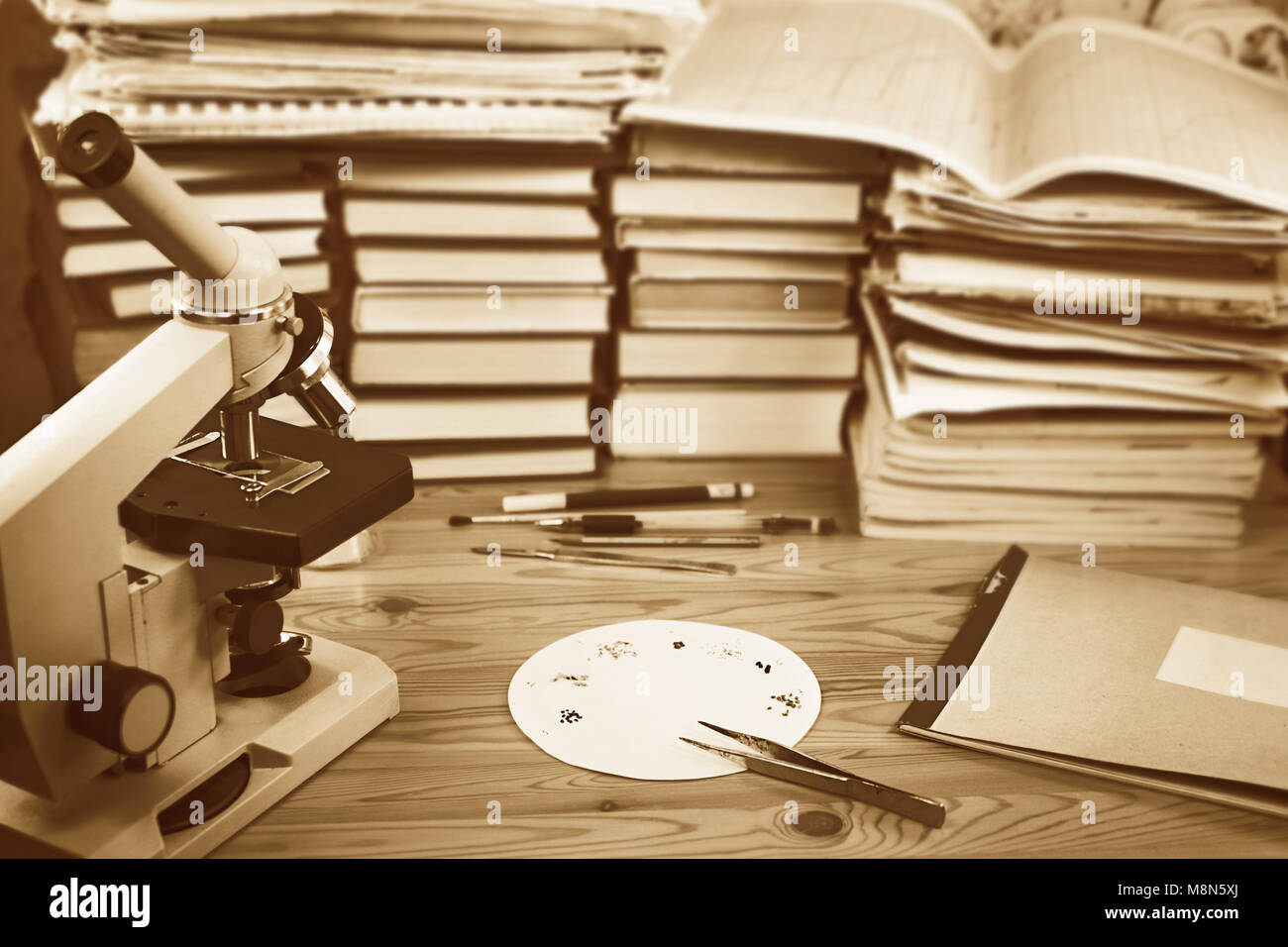 Wissenschaftliche Arbeiten, Ausrüstung und Proben auf dem Schreibtisch Stockfoto