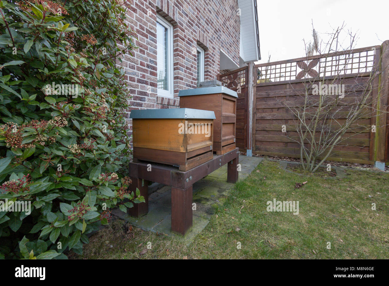 Seitenansicht der Bienenstöcke im Garten. Urban Bienenzucht Stockfoto