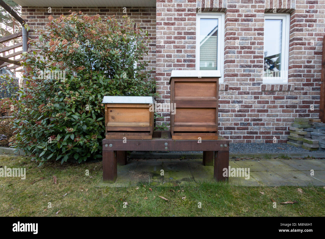 Vorderansicht der Bienenstöcke im Garten. Urban Bienenzucht Stockfoto