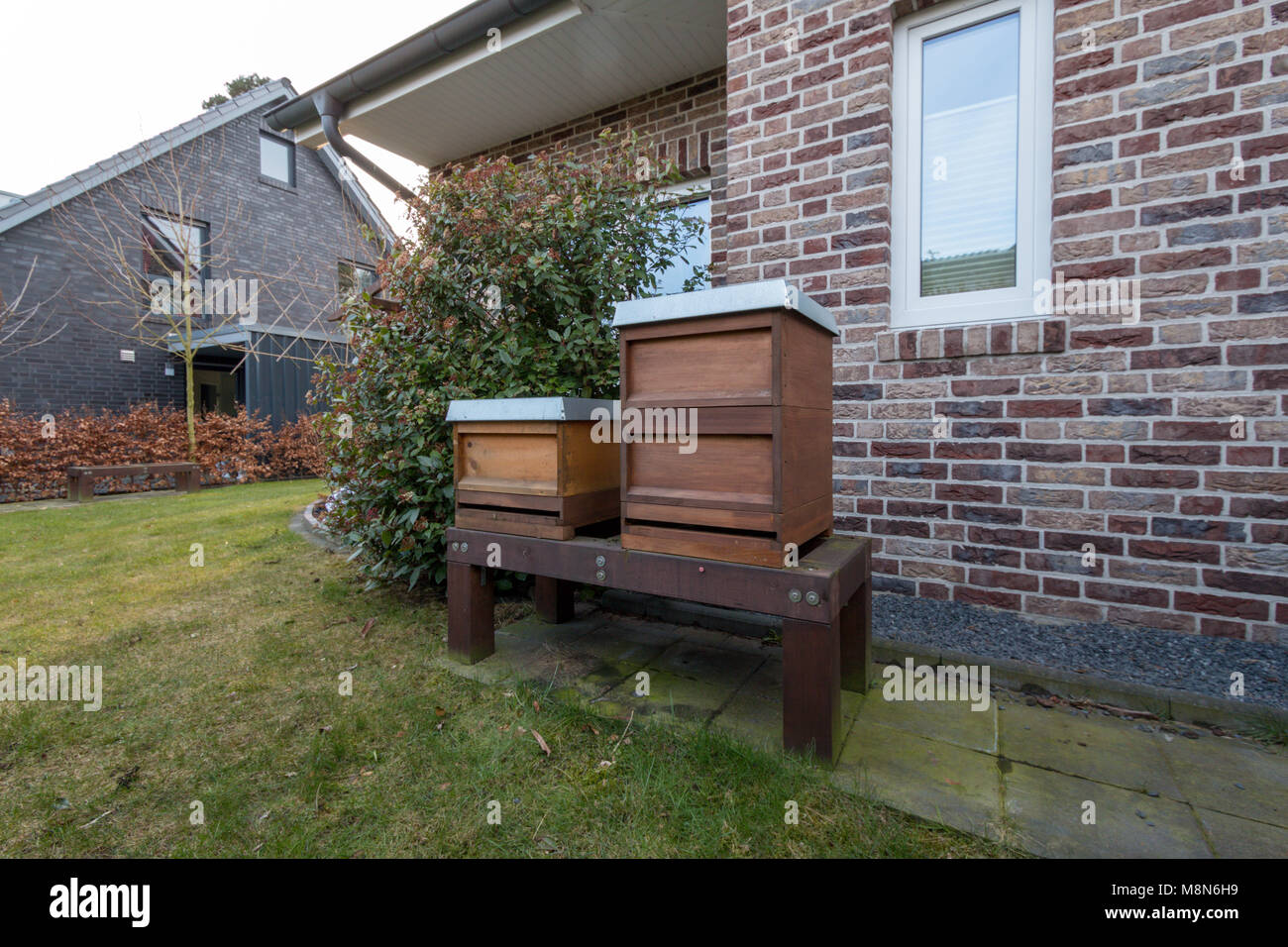 Seitenansicht der Bienenstöcke im Garten. Urban Bienenzucht Stockfoto