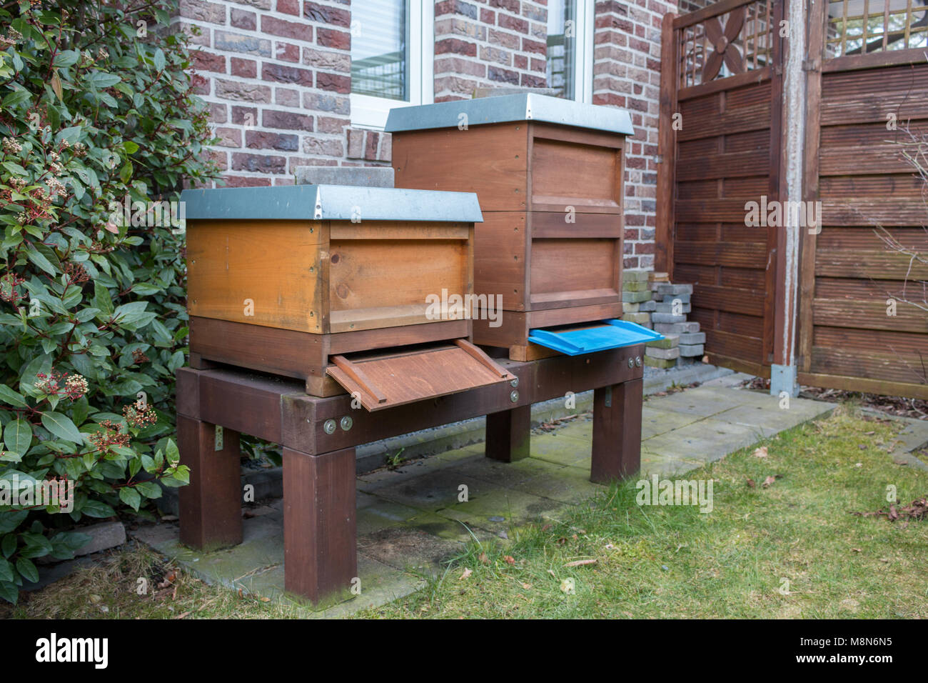 Seitenansicht der Bienenstöcke im Garten. Urban Bienenzucht Stockfoto