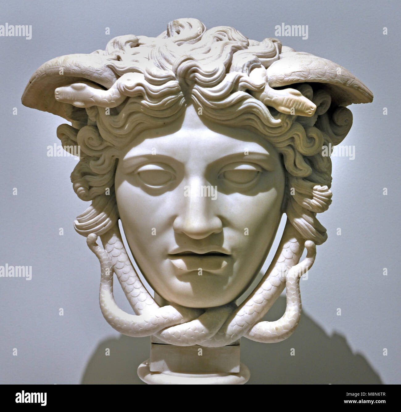 The beautiful face of medusa hair of snakes Fotos und Bildmaterial in