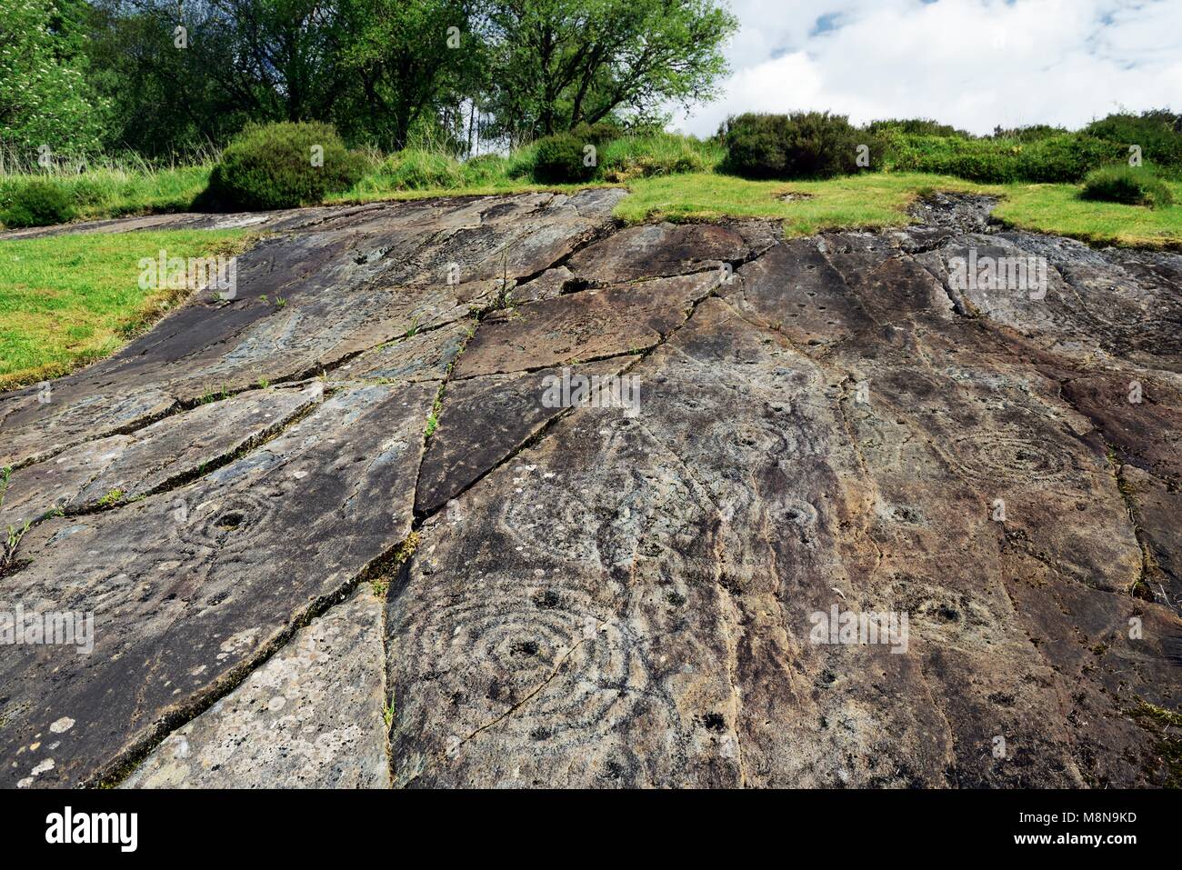 Schale und Ring mark Markiert Prähistorische Felszeichnungen aus der Jungsteinzeit auf natürliche Felsnase an Achnabreck in Kilmartin Valley, Argyll, Schottland, Großbritannien Stockfoto