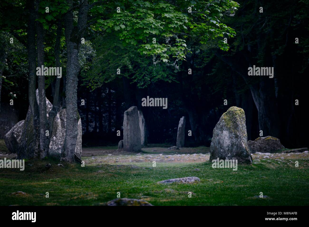 Balnuaran von Clava Cairns in der Nähe von Inverness, Schottland. Megalithische Standing Stone Ringe um südlichen prähistorischen Bronzezeit passage Grave Stockfoto
