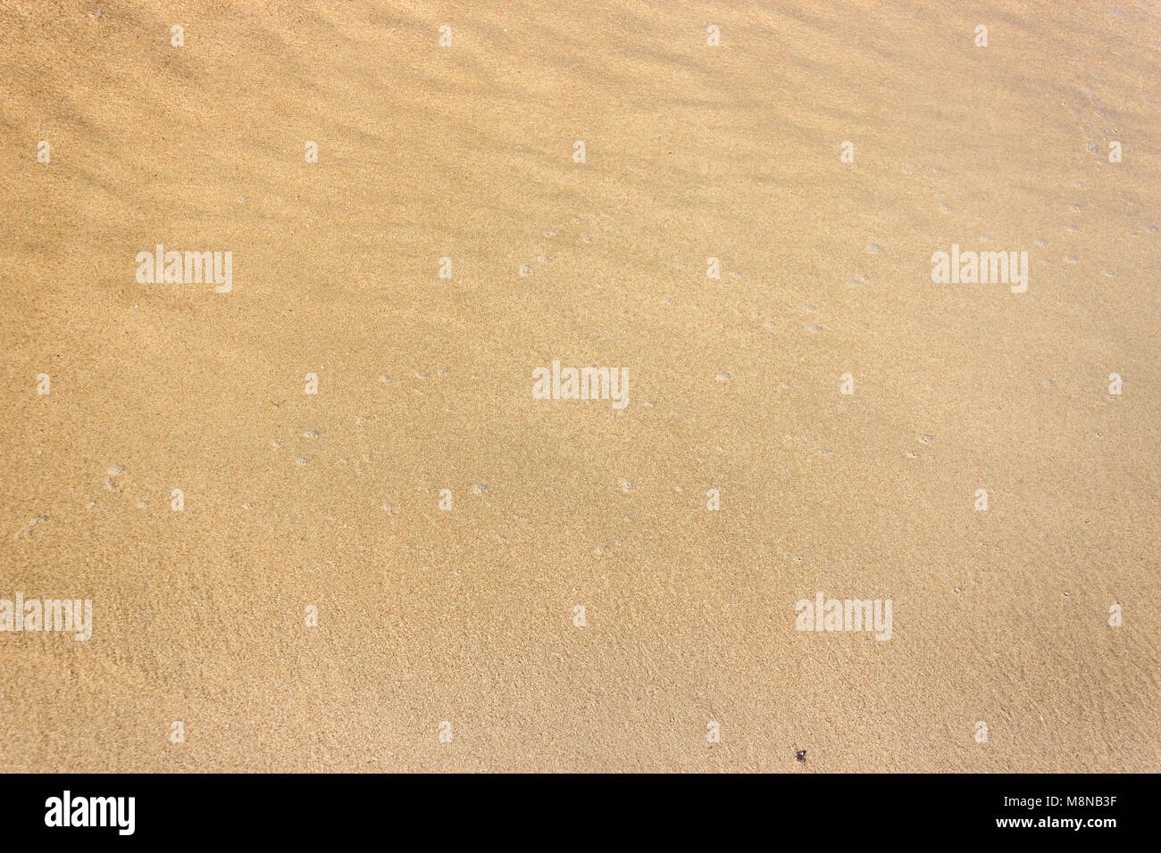 Klar nass Sands Beach Textur Hintergrund Stockfoto