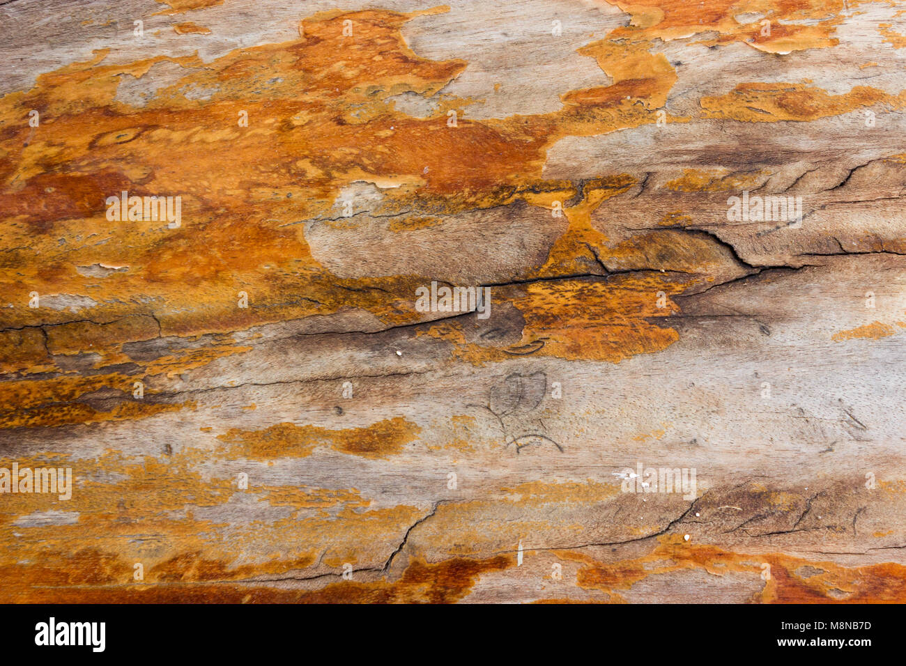 Nahaufnahme alten Holztisch Textur Hintergrund Stockfoto