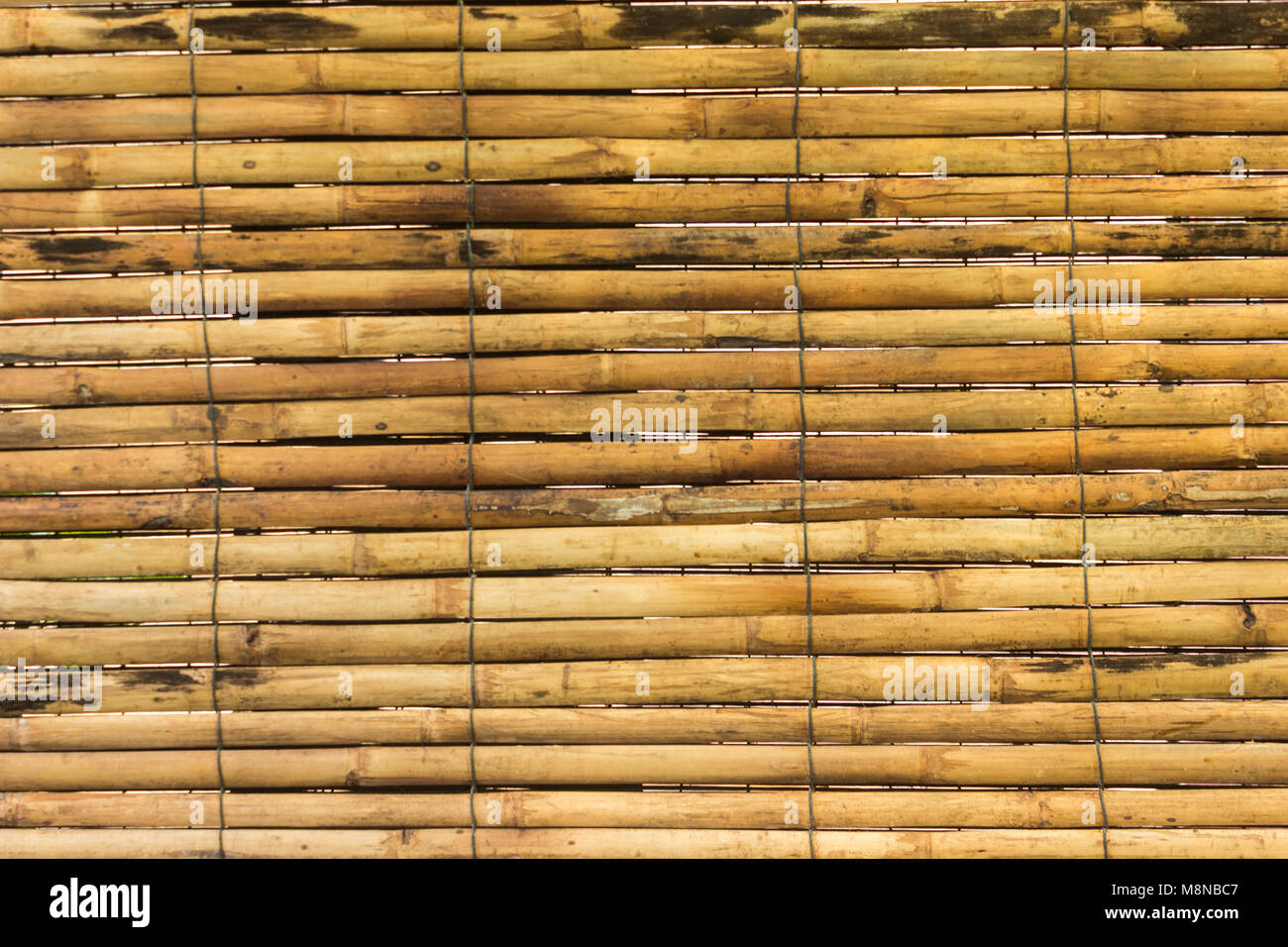 Horizontale gelb Bambus für Hintergrund Textur Stockfoto