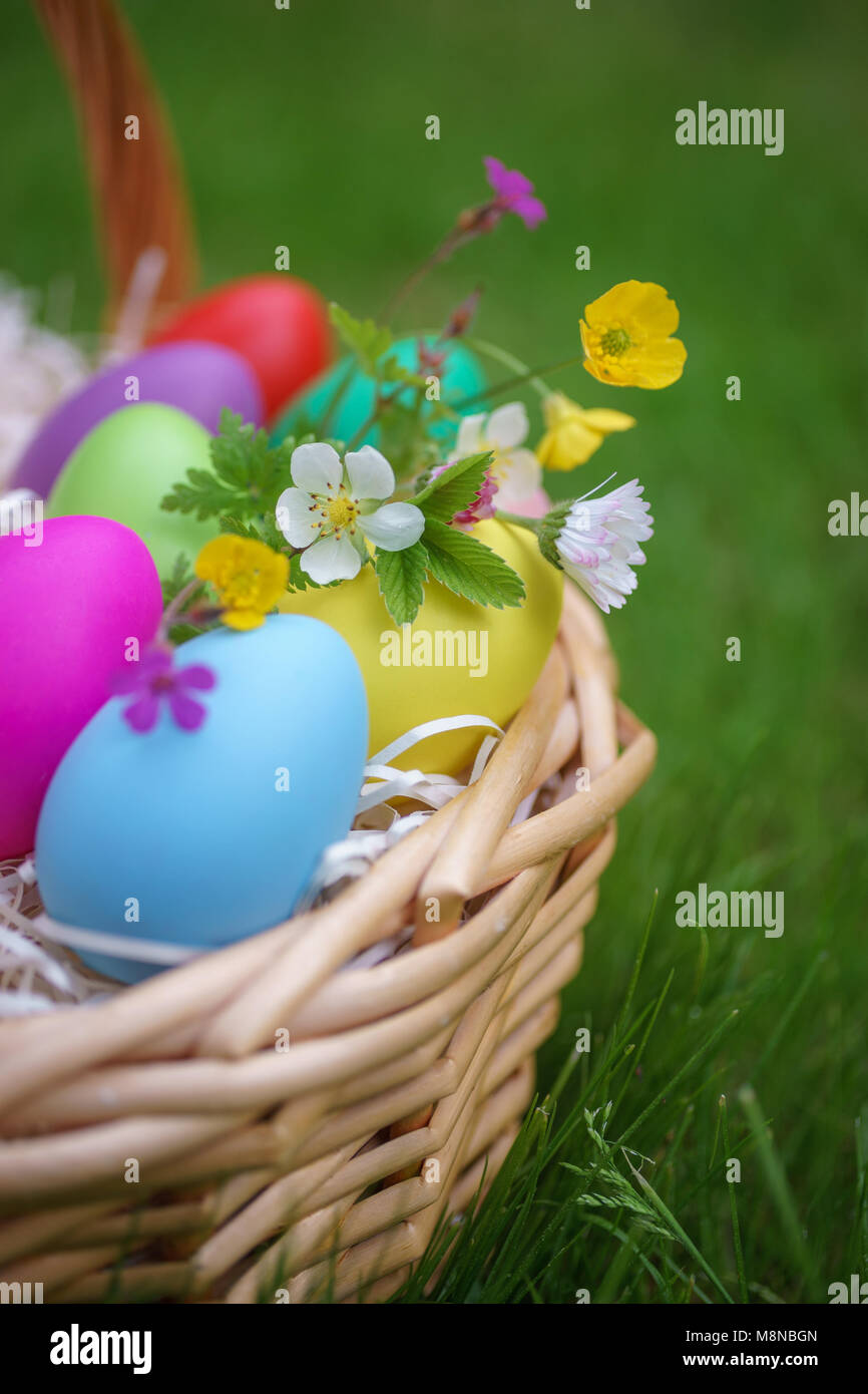 Bunte eier mit Frühling Blumen im Korb auf grünem Gras. Frohe Ostern Hintergrund Stockfoto