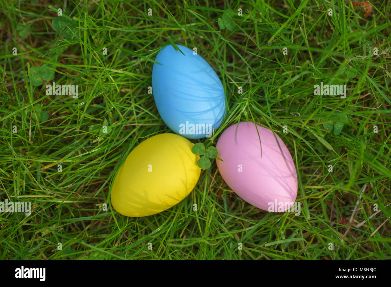 Bunte eier auf frischen Frühling Gras. Frohe Ostern Hintergrund Stockfoto