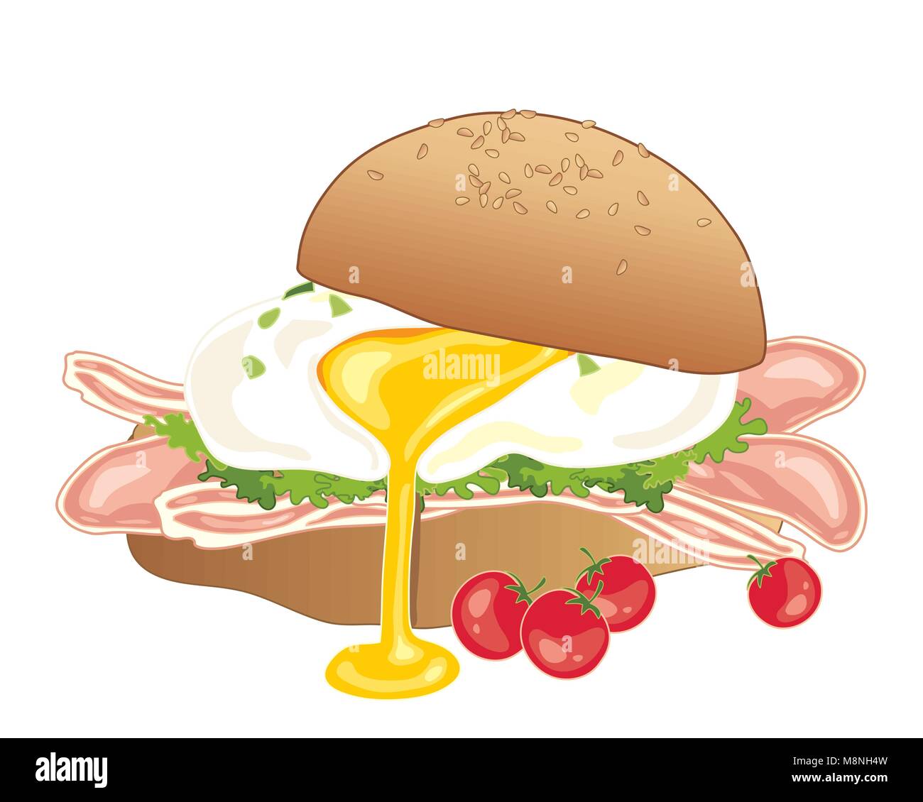 Ein Vektor Abbildung im EPS 10 Format von einem pochierten Ei mit Speck und Salat in einem großen Sesamsamen bun auf weißem Hintergrund Stock Vektor