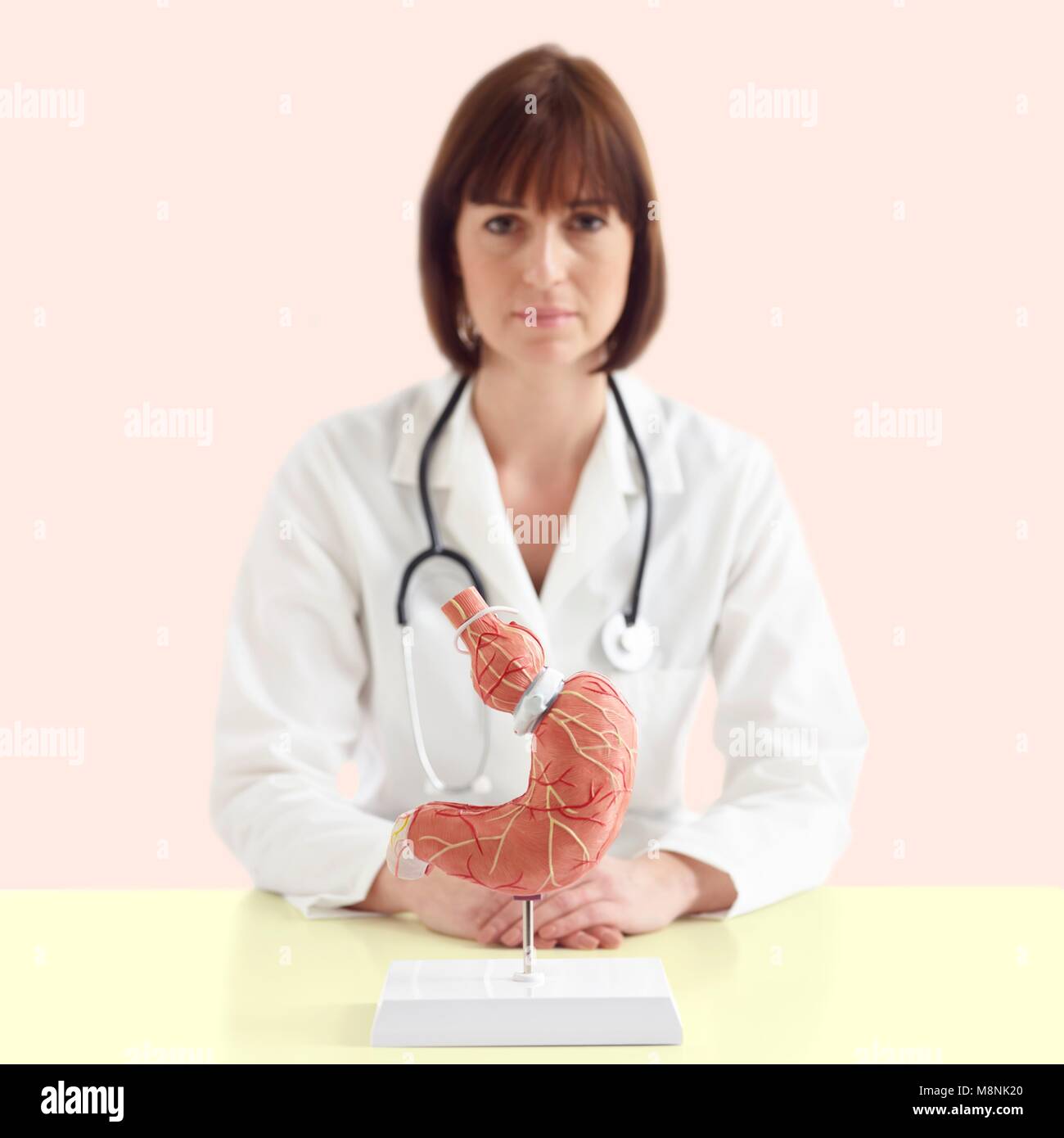 Arzt mit einem medizinischen Modell der menschlichen Magen mit einem gastrischen Band. Stockfoto