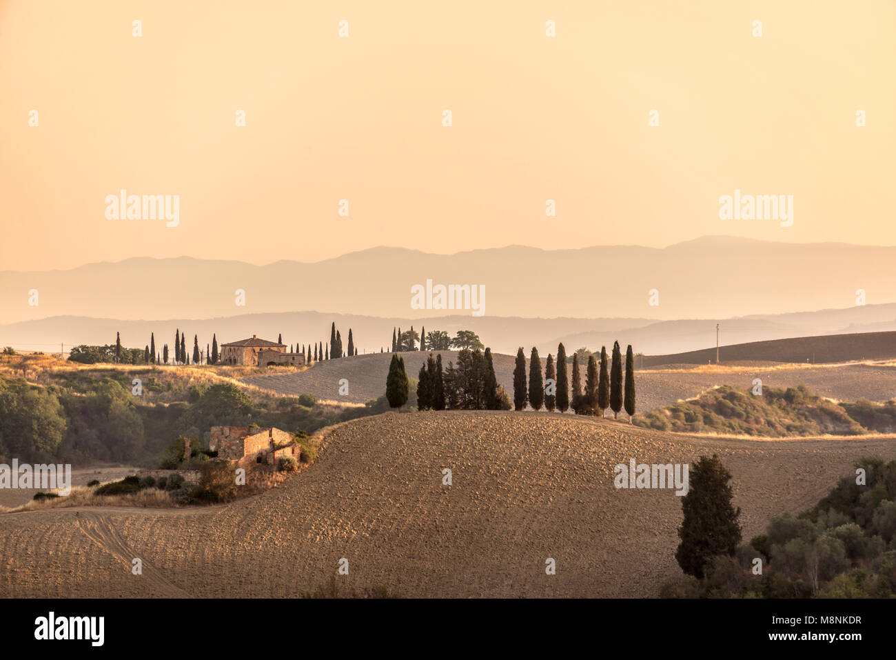 Sommer Landschaft bei Sonnenaufgang in der Toskana, Italien Stockfoto