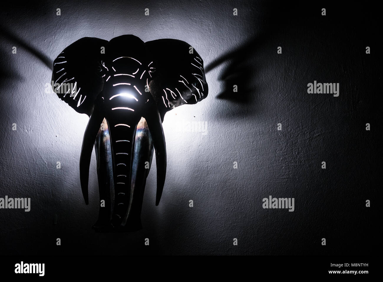 Elephant Head von hinten beleuchtet. Objekt an der Wand hängen. Stockfoto