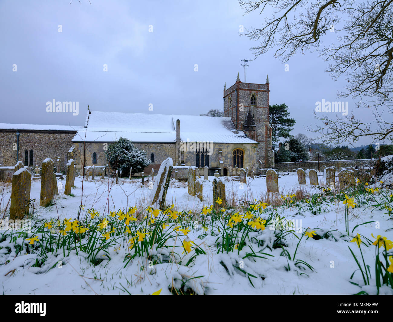 Snowy Feder Szene von hambledon Kirche St. Peter und Paul, South Downs, Hampshire, Großbritannien Stockfoto