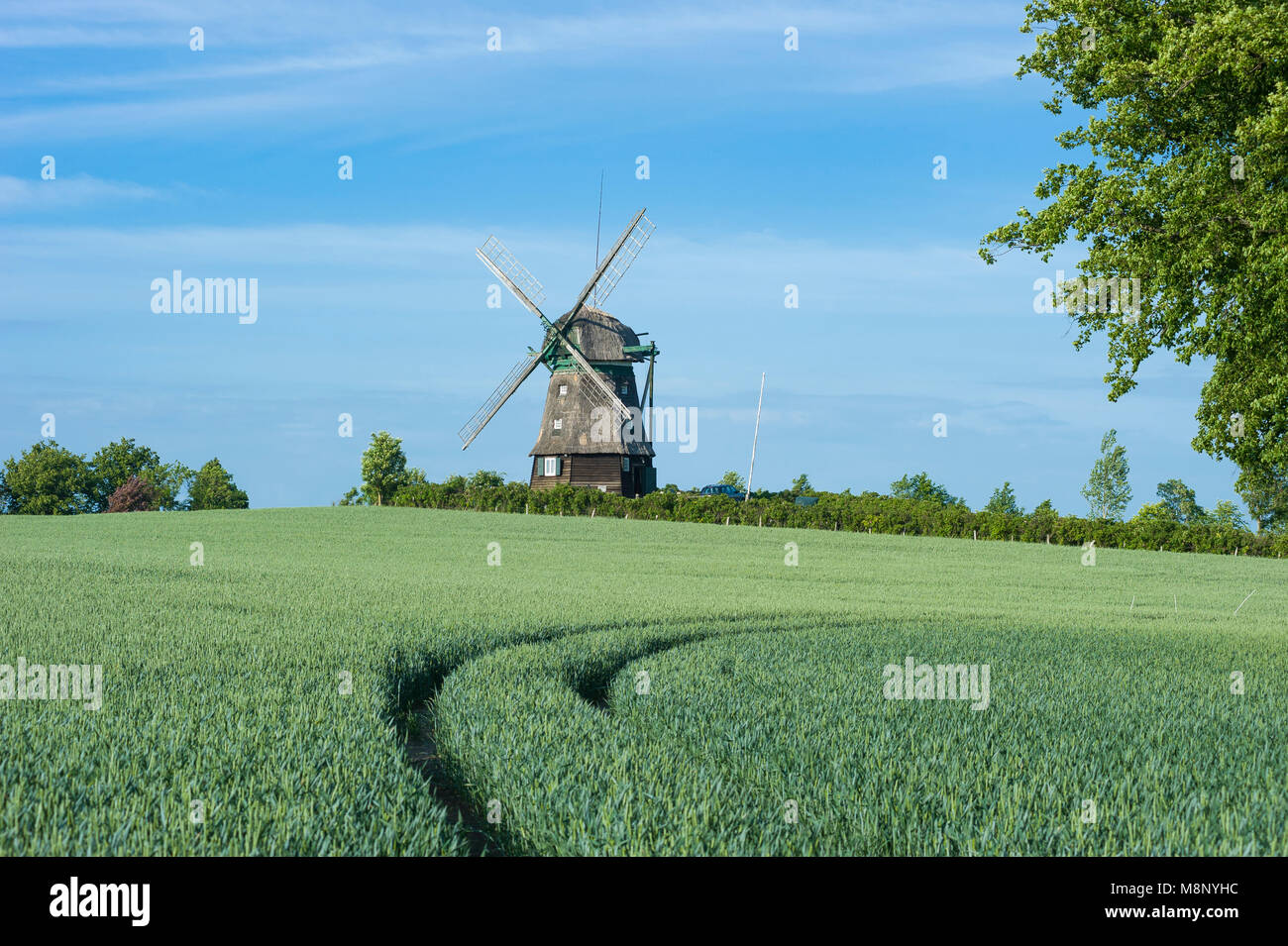 Farver Mühle, Wangles, Ostsee, Schleswig-Holstein, Deutschland, Europa Stockfoto