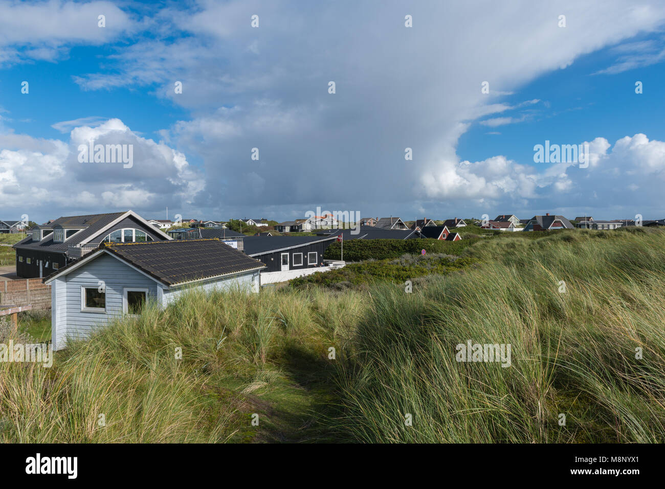 Ferienwohnungen inmitten der Dünen von Rindby Strand auf der Insel Fanø, Dänemark, jütland, Skandinavien Stockfoto