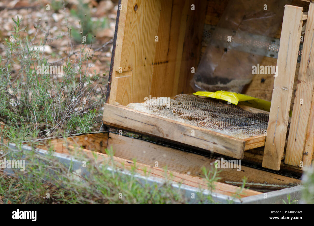 Leeren Bienenstock, verwüstet, Waben gestohlen, in der Landschaft von Andalusien, Spanien. Stockfoto