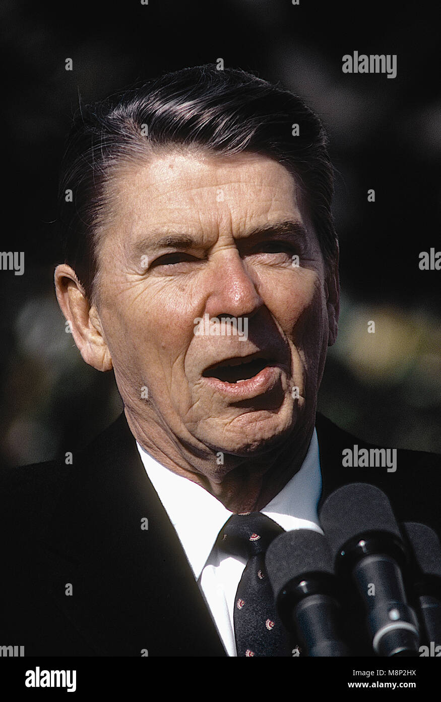 Washington, DC. USA, 16. November 1982 Präsident Ronald Reagan liefert Erläuterungen auf der offiziellen staatlichen Begrüßungszeremonie für Bundeskanzler Helmut Kolh. Auf der South Lawn des Weißen Hauses. Credit: Mark Reinstein/MediaPunch Stockfoto