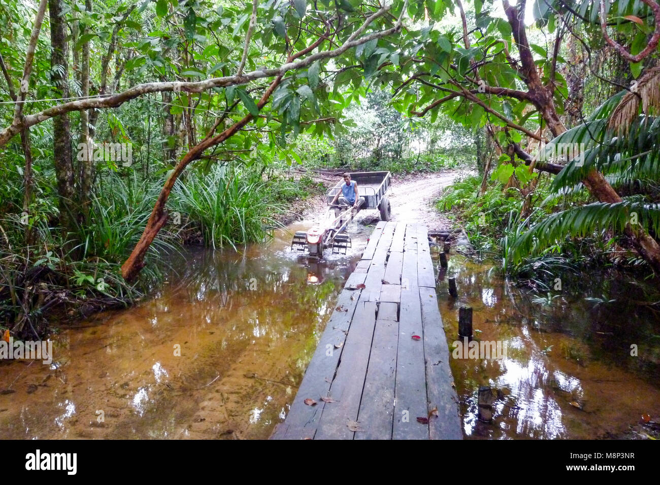 Koh Rong Sanloem, Kambodscha - 23. Januar 2018: Junge auf einem Traktor, der im Dschungel der Koh Rong Sanloem Insel zu Kambodscha Stockfoto