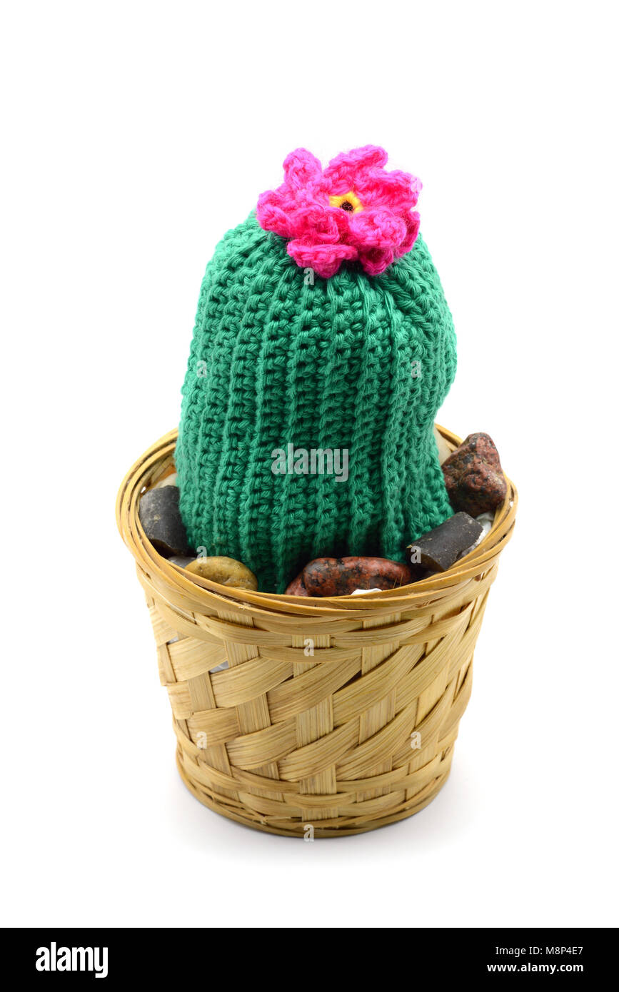 Häkeln Kaktus mit Blüte im Blumentopf. Wolle gehäkelt Stockfotografie -  Alamy
