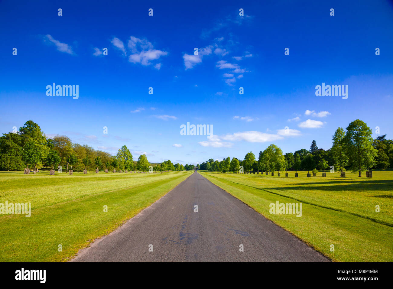 Sommer Landschaft mit geraden eine einspurige Landstraße im südlichen England Großbritannien Stockfoto