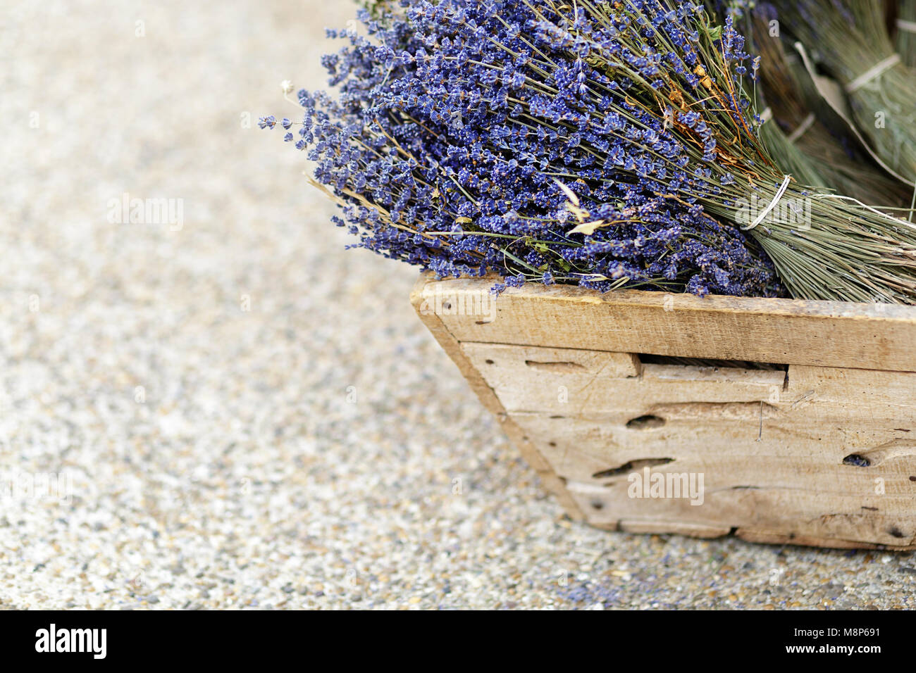 Ein Korb von getrocknetem Lavendel in der Provence, Frankreich Stockfoto