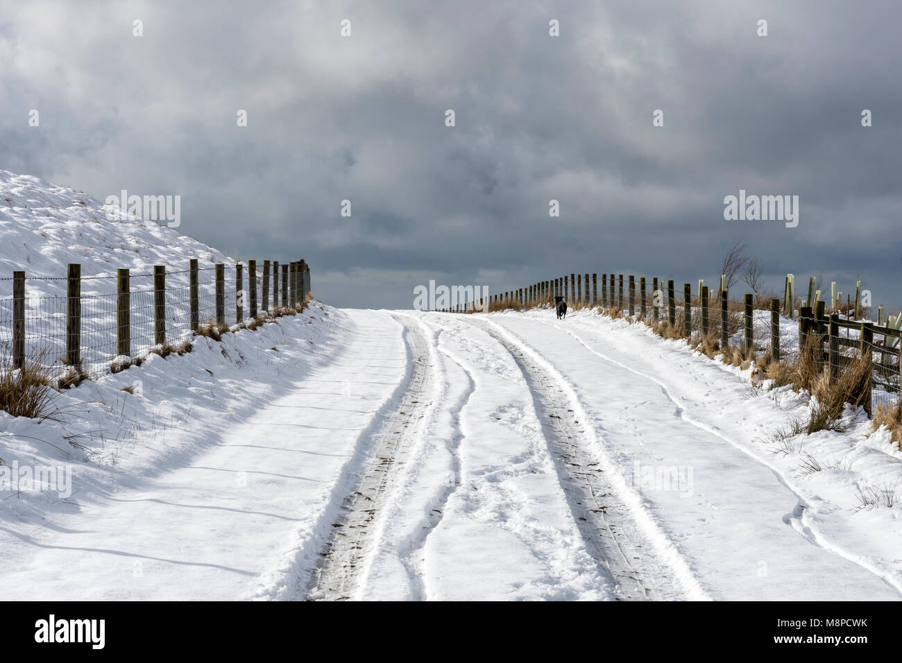 Schnee Titel gegenüber der Lancashire Moorland in einen dunklen winterlichen Himmel Stockfoto
