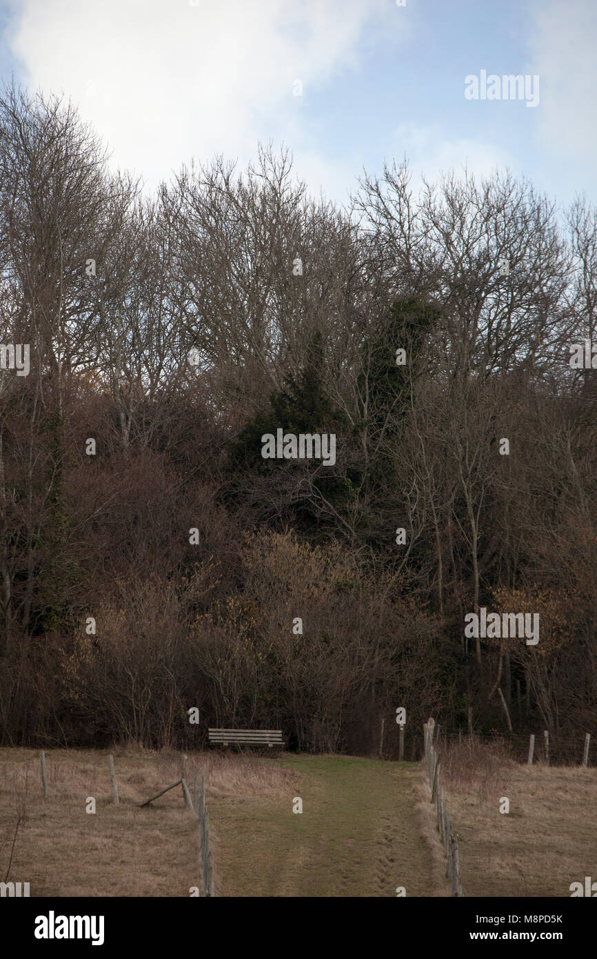 Alte Holzbank in einem Feld, Herbst Szene mit blauen Himmel. Stockfoto