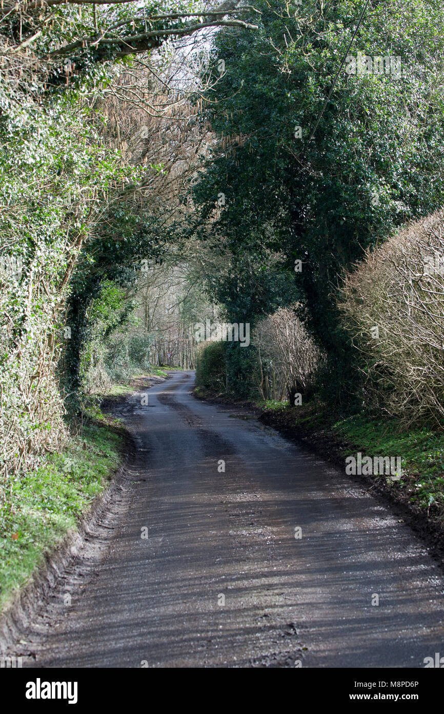 Holz- 'öffentlichen Fußweg" Schild, von Kent County Council ausgestellt. Otford, Kent, England. Stockfoto